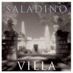 Villa - John Saladino