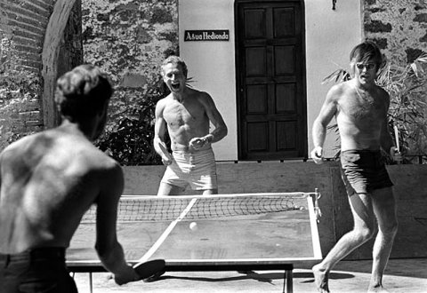 newman redford