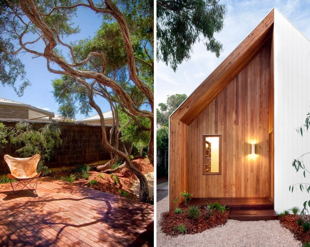 Beach Shack in Australia : design elements